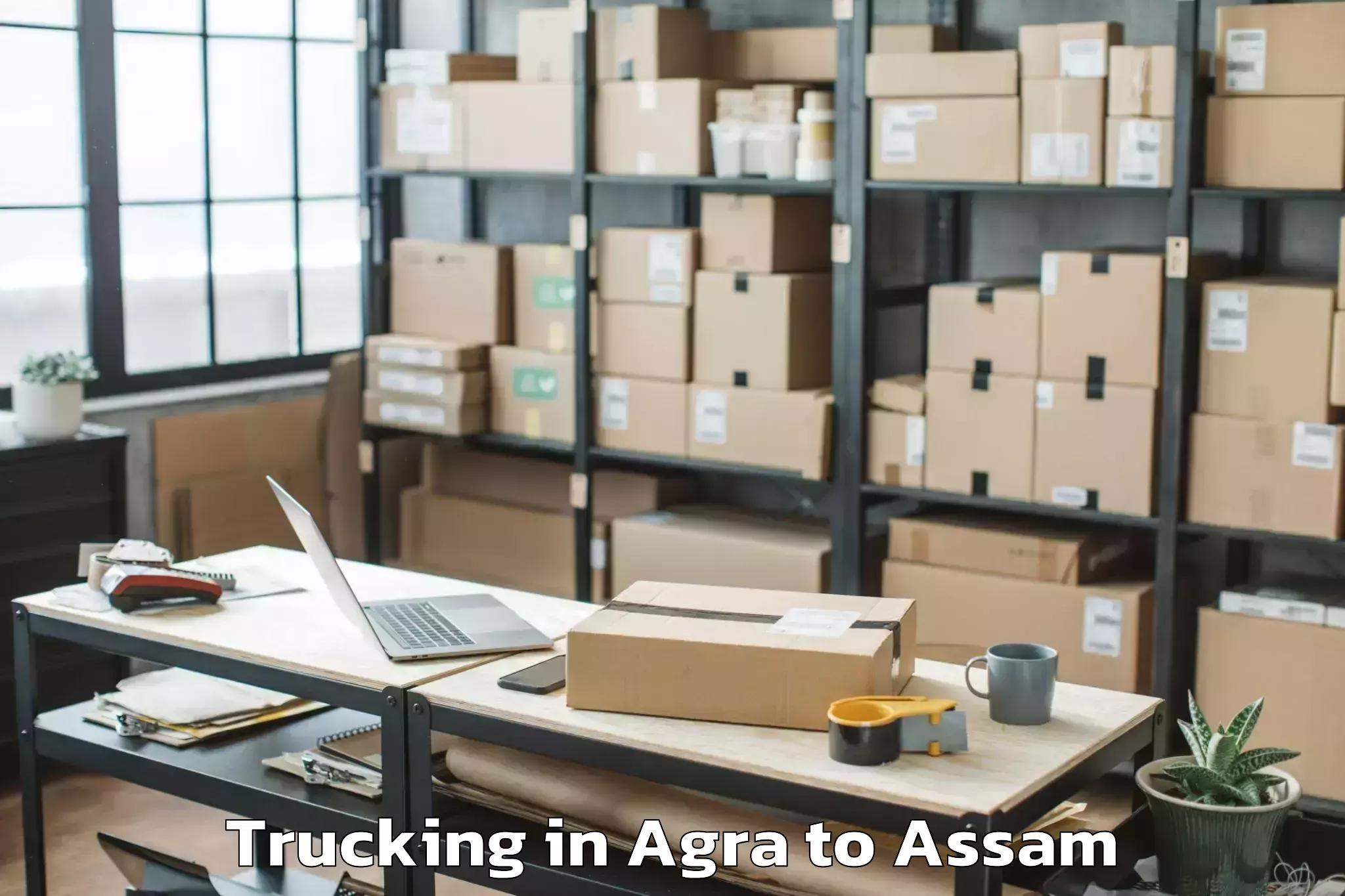 Leading Agra to Hojai Trucking Provider